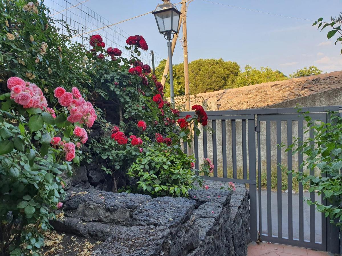Villa Martina Маскалучия Екстериор снимка